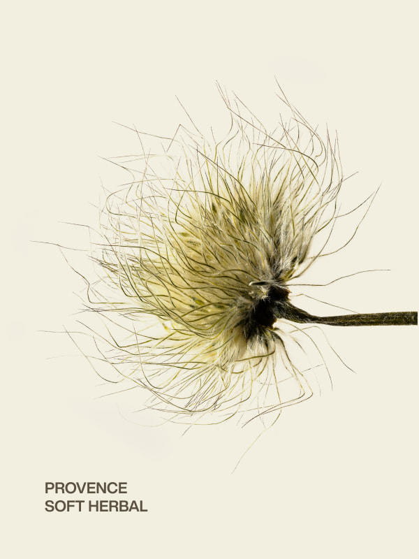 provence | soft herbal