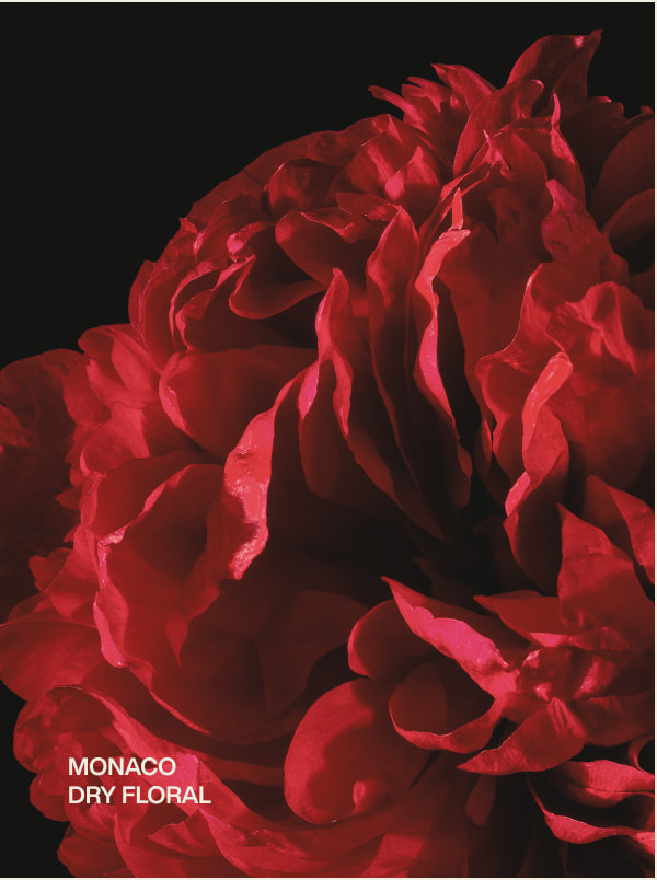 monaco | dry floral