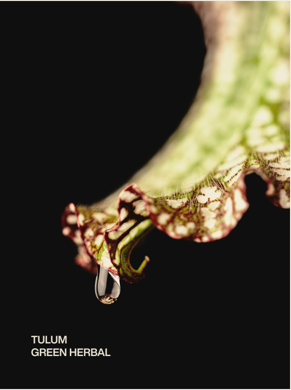 tulum | green herbal