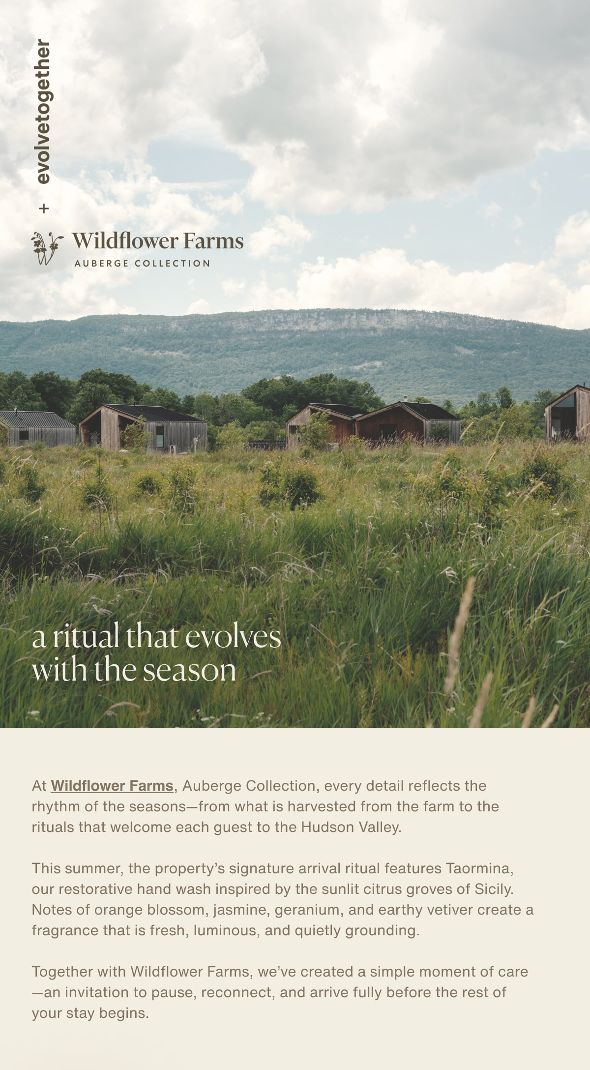 evolvetogether + Wildflower Farms | At Wildflower Farms, Auberge Collection, every detail reflects the rhythm of the seasons—from what is harvested from the farm to the rituals that welcome each guest to the Hudson Valley.  This summer, the property’s signature arrival ritual features Taormina, our restorative hand wash inspired by the sunlit citrus groves of Sicily. Notes of orange blossom, jasmine, geranium, and earthy vetiver create a fragrance that is fresh, luminous, and quietly grounding.  Together with Wildflower Farms, we’ve created a simple moment of care—an invitation to pause, reconnect, and arrive fully before the rest of your stay begins.