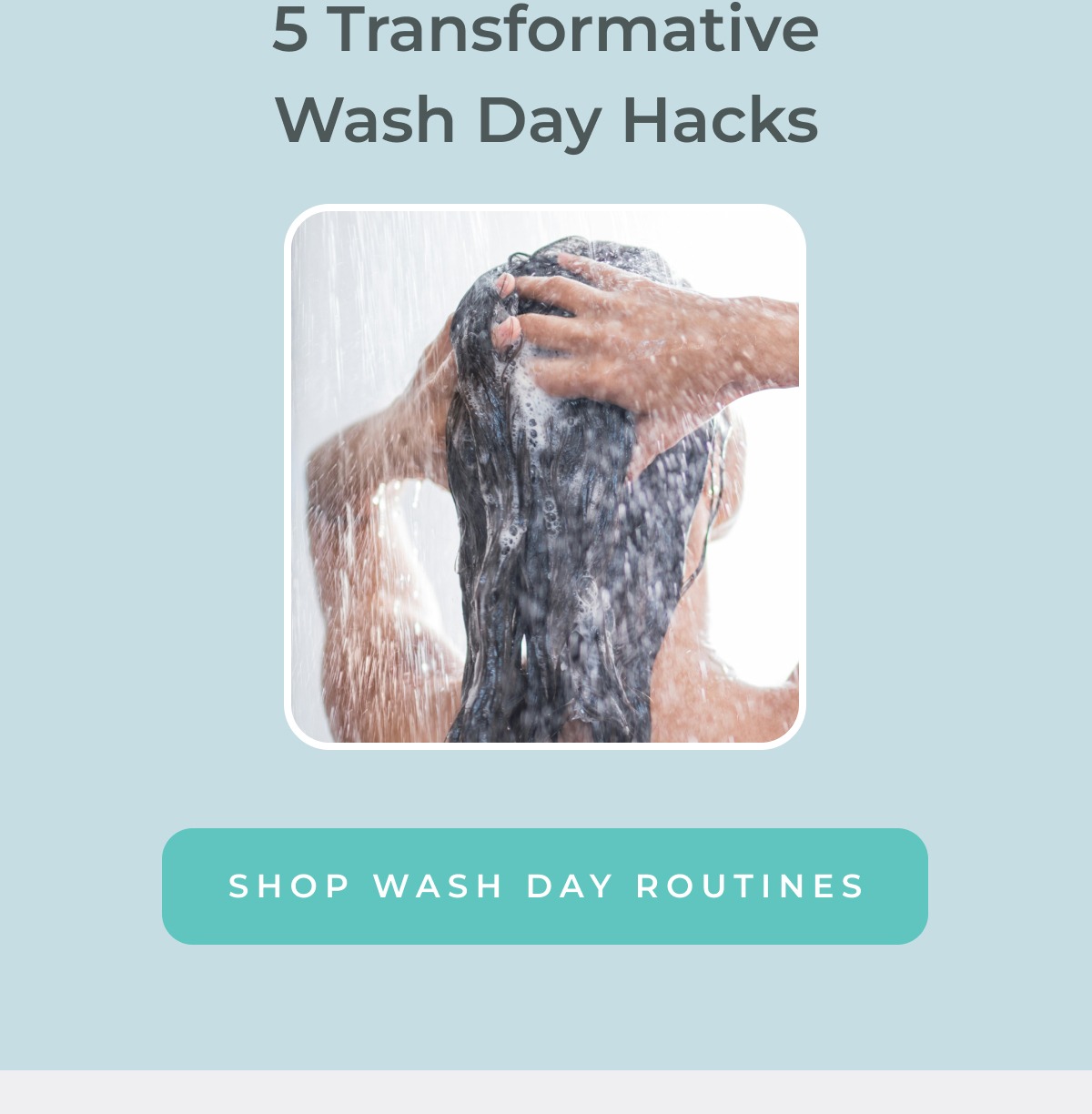 Shop Wash Day Routines