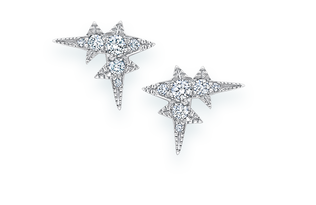 Heritage Platinum Diamond Frost Earrings