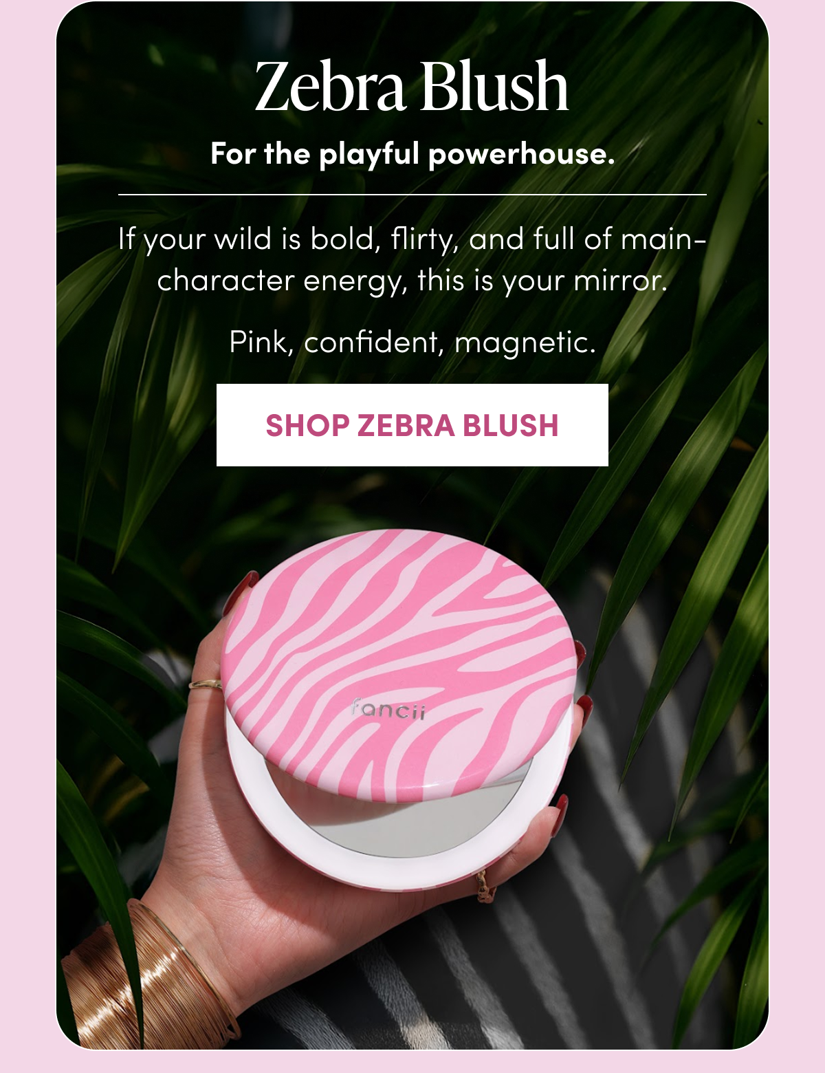 Zebra Blush