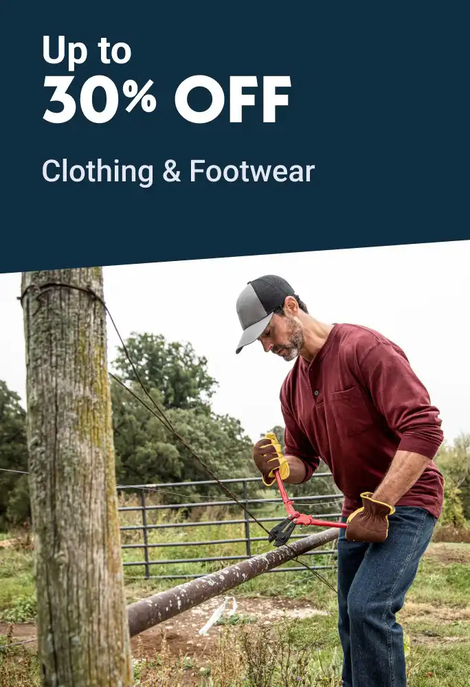 Clothing and Footwear