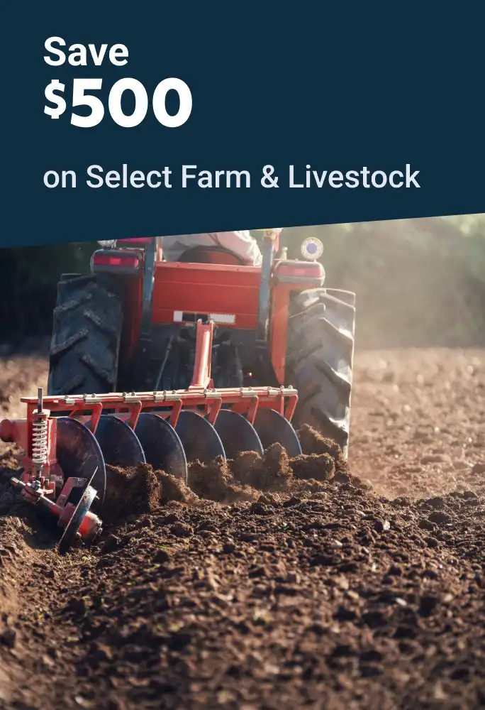 Farm and Livestock