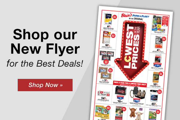 Lowest Prices of the Year is Here!