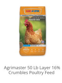 Product Recommendation 1