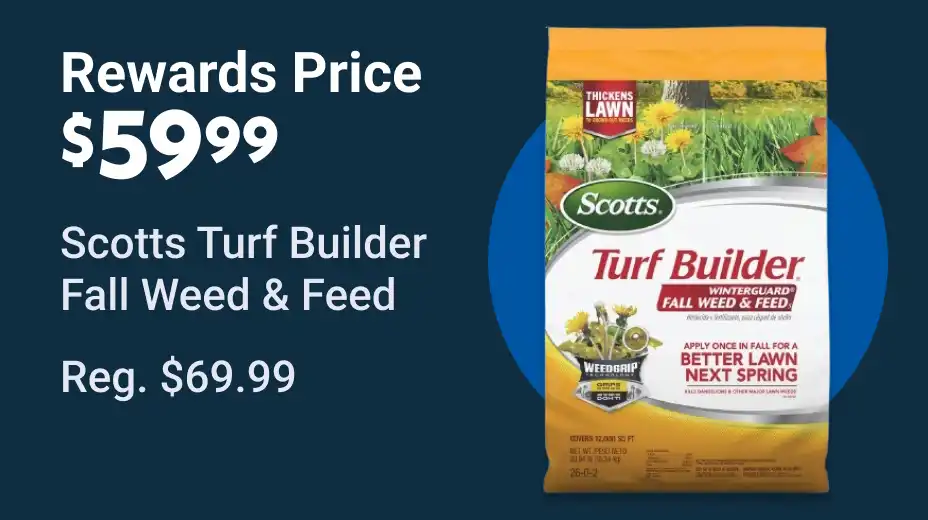 Rewards $59.99 Scotts Turf Builder Fall Weed & Feed