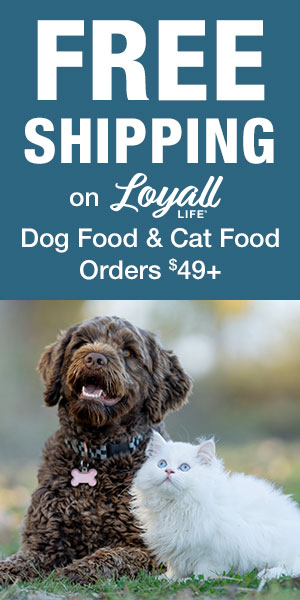 FREE Shipping on Orders $49+