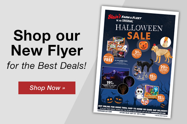 Shop Our Sales Flyer
