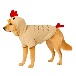 Halloween Pet Apparel & Toys 
