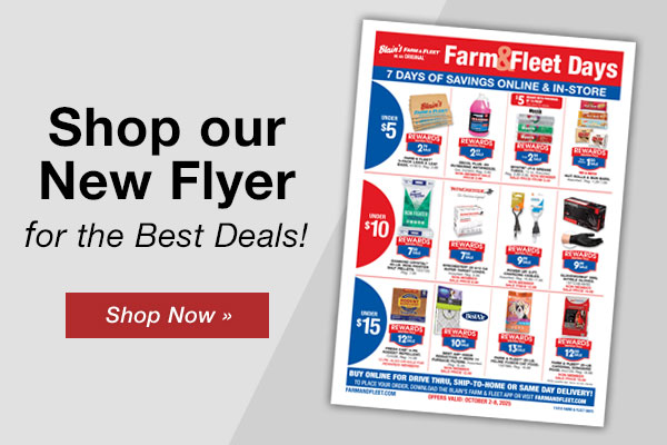 Shop Our New Flyer