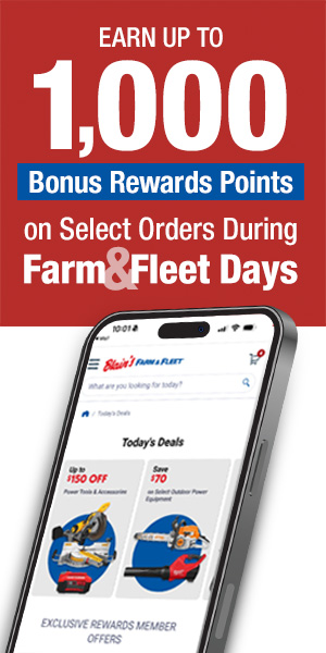 Earn Up to 1,000 Bonus Rewards Points