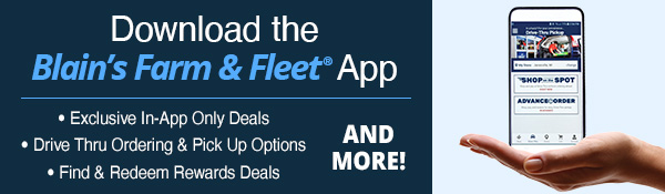 Download the App