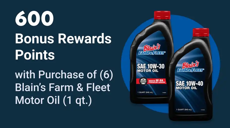 600 Bonus Point Offer