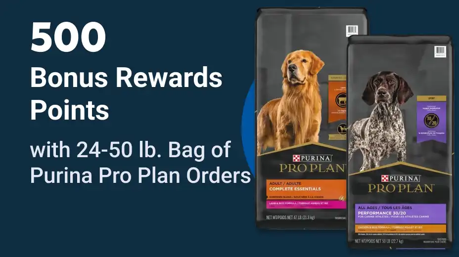 500 Bonus Point Offer