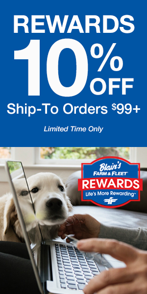 10% OFF Shipped Orders w/ Rewards