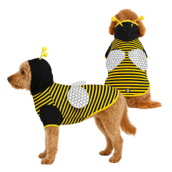 Halloween Pet Apparel & Toys