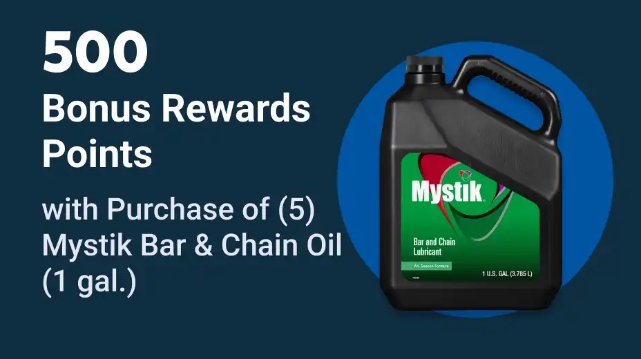 500 Bonus Point Offer