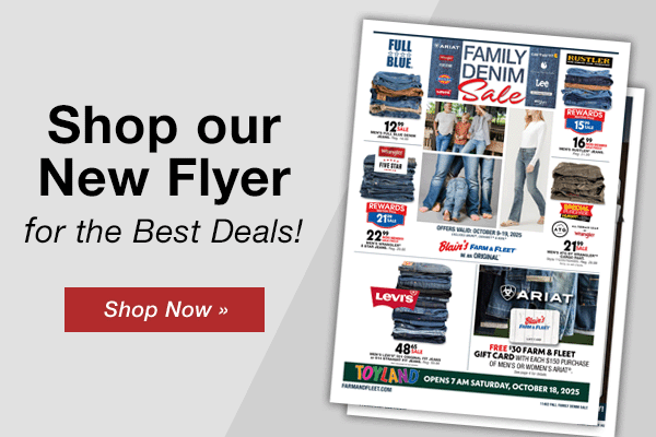 Shop our New Flyer
