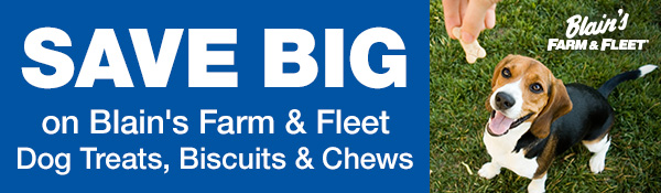 Save Big on Farm & Fleet Dog Treats & Chews
