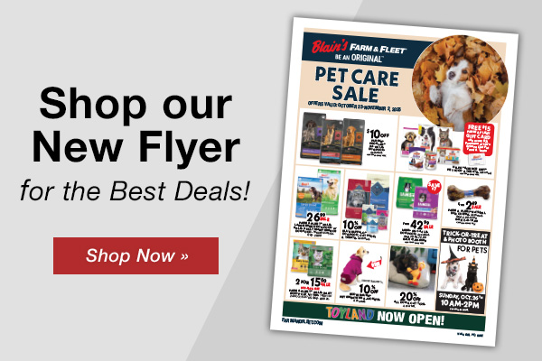 Shop Our New Flyer!