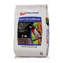 BFF 20 lb. Black Oil Sunflower Seed