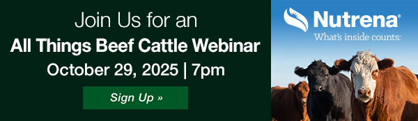 All Things Beef Cattle Webinar