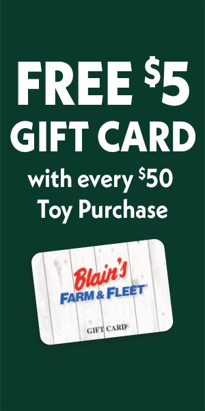 FREE $5 Gift Card w/$50 Toy Purchase