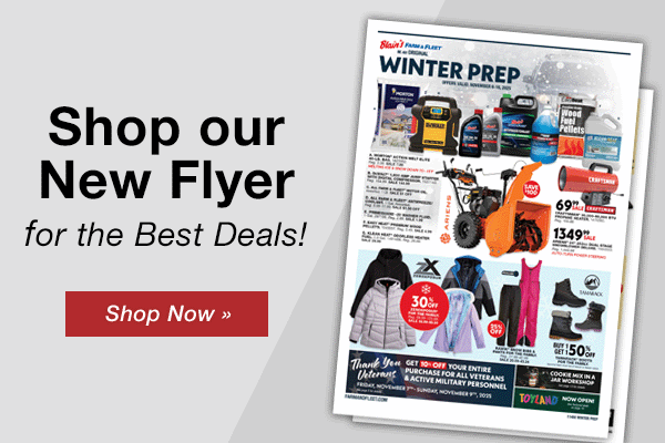 Shop Our New Flyer!