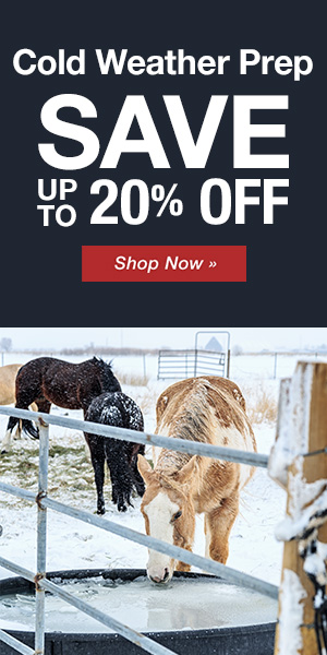 Save Up to 20% OFF Cold Weather Prep