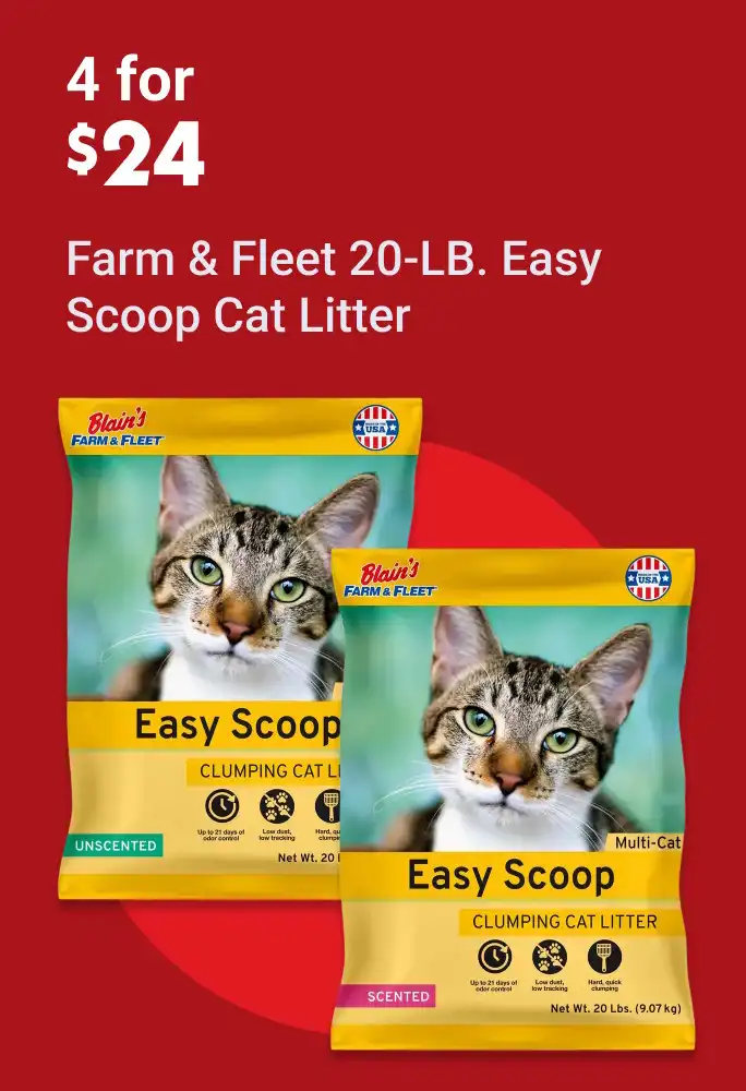 BFF Cat Litter