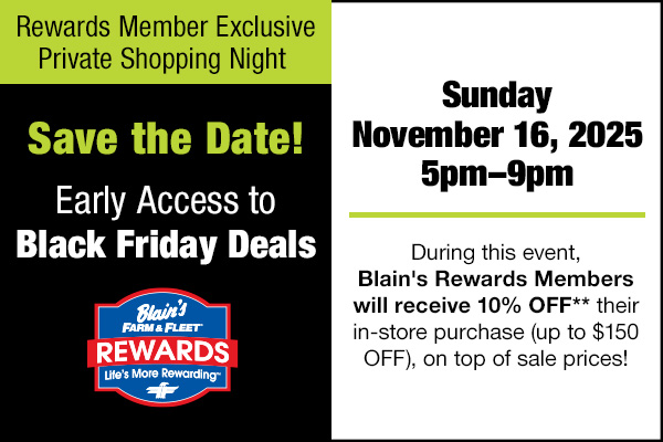 Shop Night