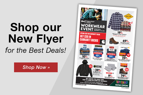 Shop Our New Flyer!