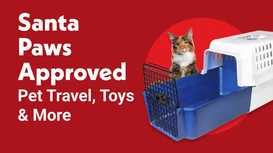 Shop Pet Travel Must-Haves