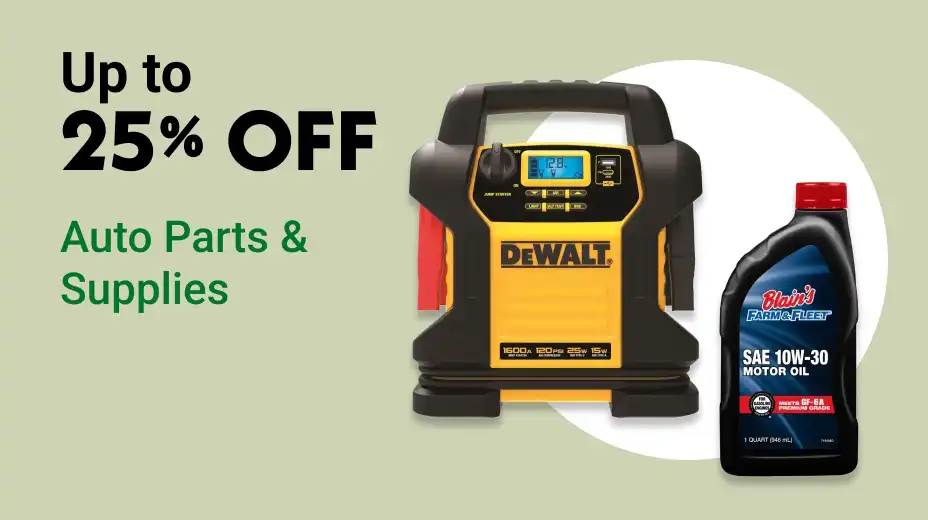 Auto Parts & Supplies