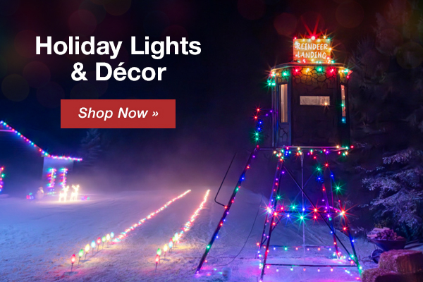 Holiday lights & Decore