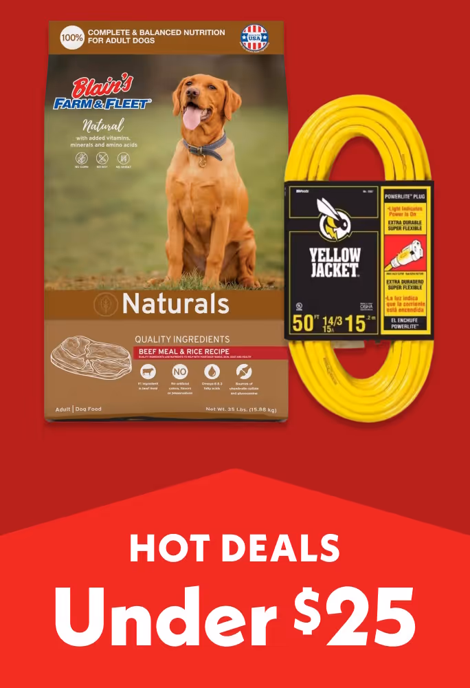 Black Friday Unlocked: Hot Deals Under $25!