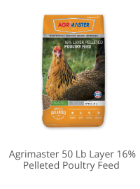 Product Recommendation 2