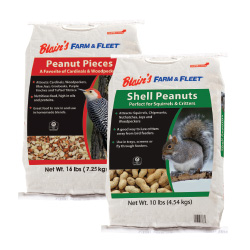 BFF 10 lb. Peanuts for Squirrels & Critters