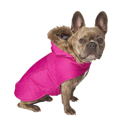 Eddie Bauer Pet Sweater & Jackets