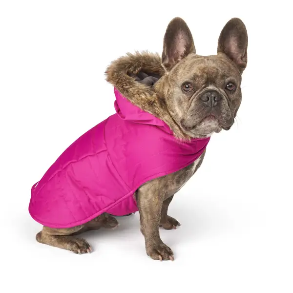 Winter Pet Apparel