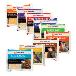 BFF Suet Cake Singles