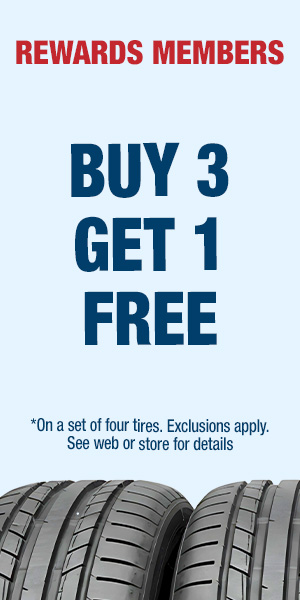 Buy 3 Get 1 FREE with Rewards