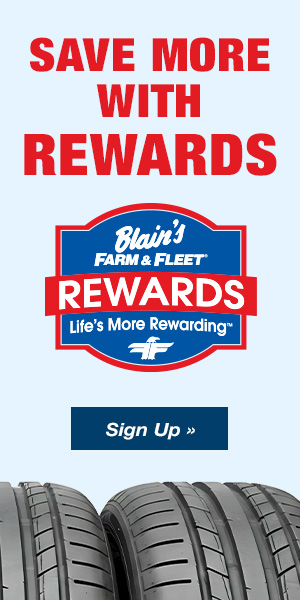 Save More on Tires with Rewards