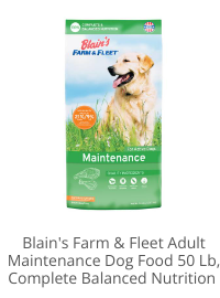 Product Recommendation 1