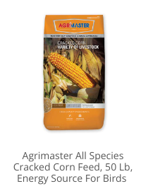 Product Recommendation 4