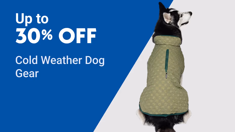 Shop Deals on Cold Weather Pet Must-Haves!
