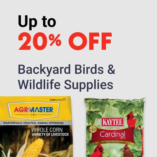 Farm & Livestock