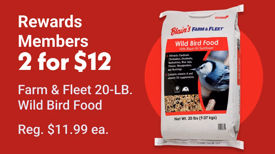 BFF 20 lb. Wild Bird Seed